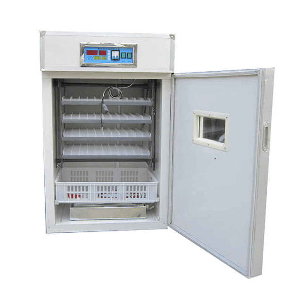Egg Incubator